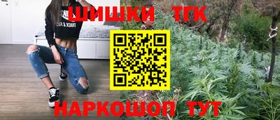 ешки Будённовск