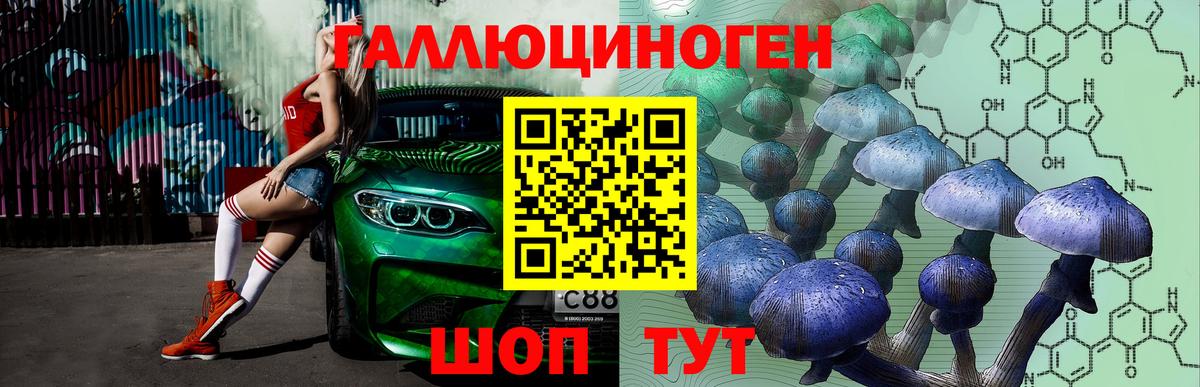 Псилоцибиновые грибы Psilocybe Одинцово