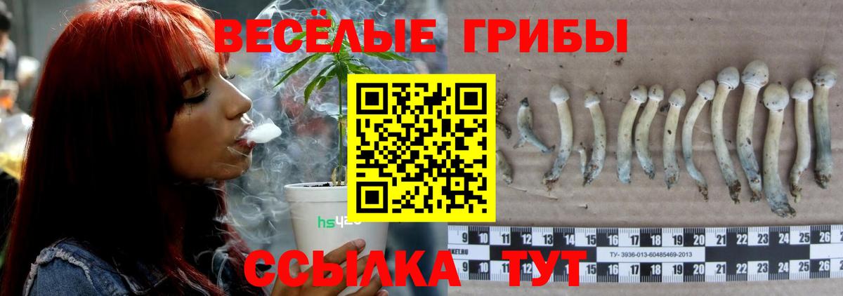 закладка  Вход с VPN  Псилоцибиновые грибы прущие грибы  Одинцово  Псилоцибиновые грибы GOLDEN TEACHER 